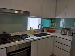 Eight Riversuites (D12), Condominium #470060331